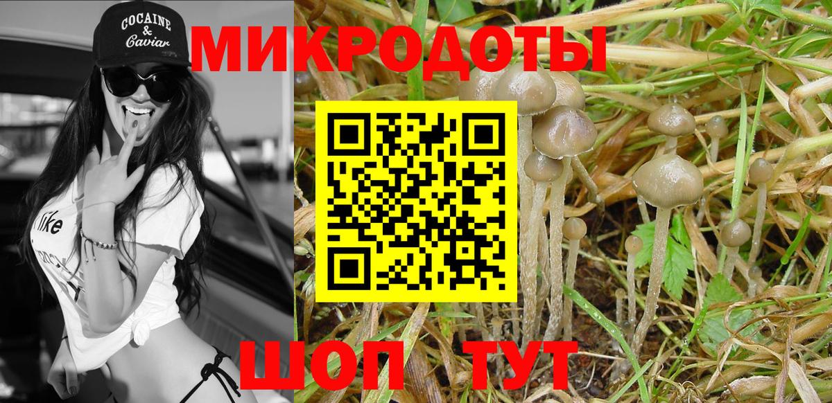 Псилоцибиновые грибы Cubensis  Галлюциногенные грибы мицелий  наркотики  Вход с VPN  Солнечногорск 