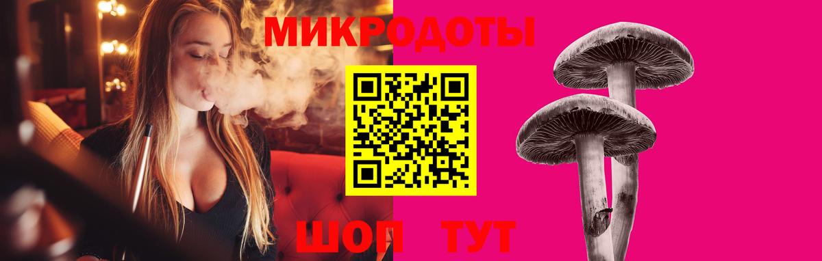 Псилоцибиновые грибы Cubensis Солнечногорск